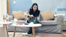 ██新晋女神下海! 小浣熊 兼职黄播自慰,跳蛋震肛门 图 37