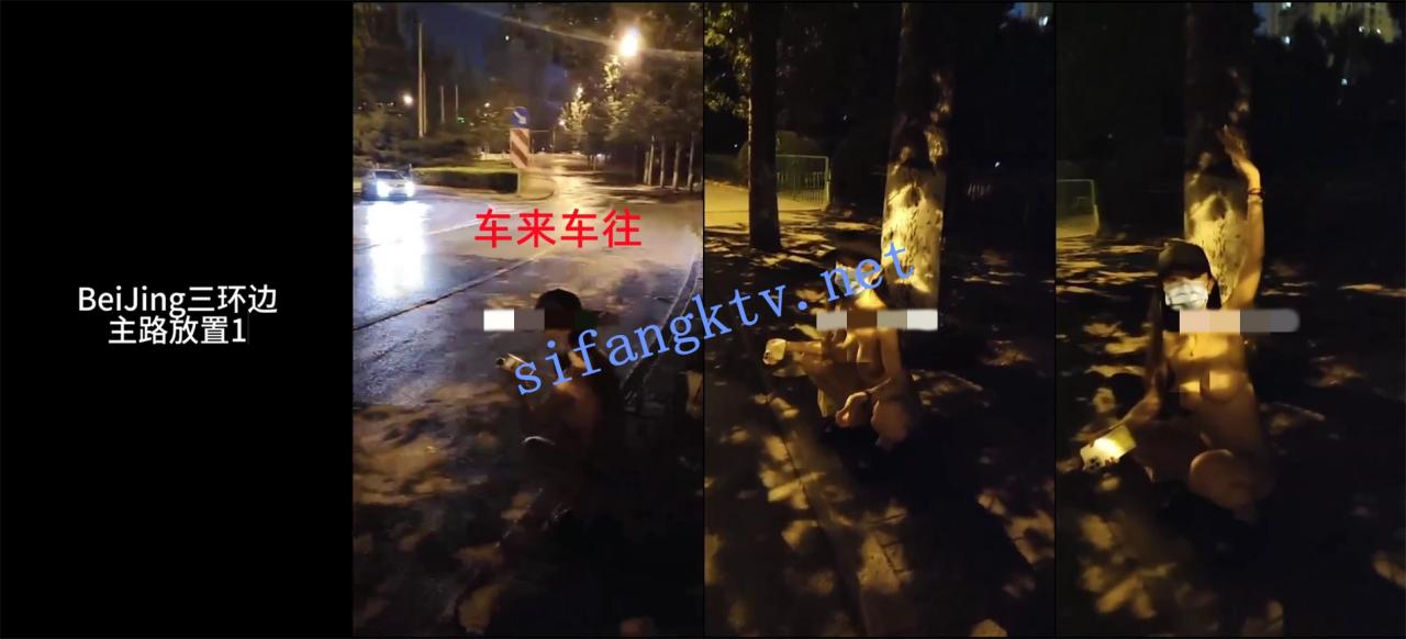 极品颜值 奶球喵喵 付费福利 各种极限露出勾引代驾大叔 图 10